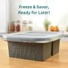 curry freezy 2 cavity gray freezing tray freeze and savor ready for later