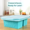 curry freezy 2 cavity blue souper cubes freeze and savor ready for later